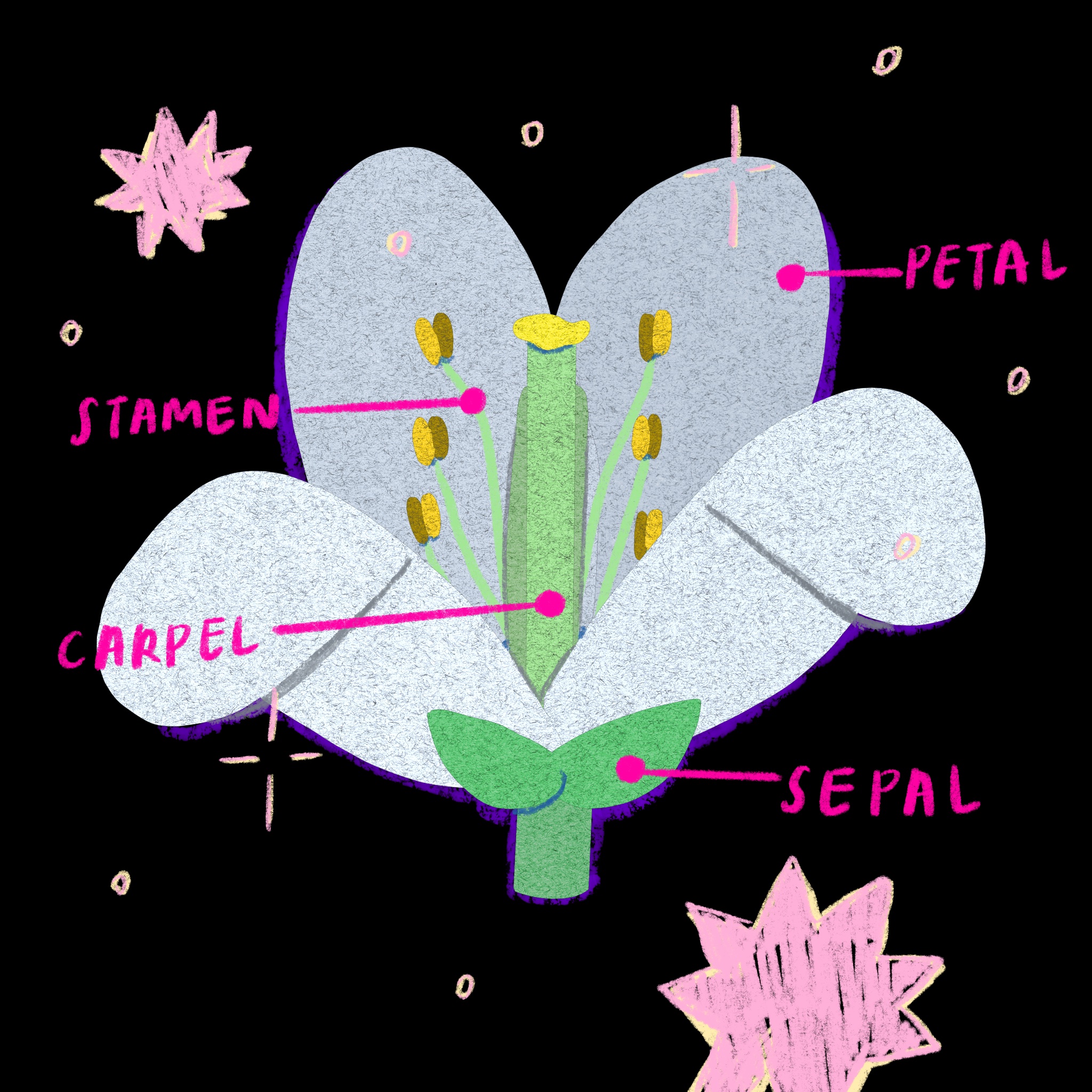 Art 1