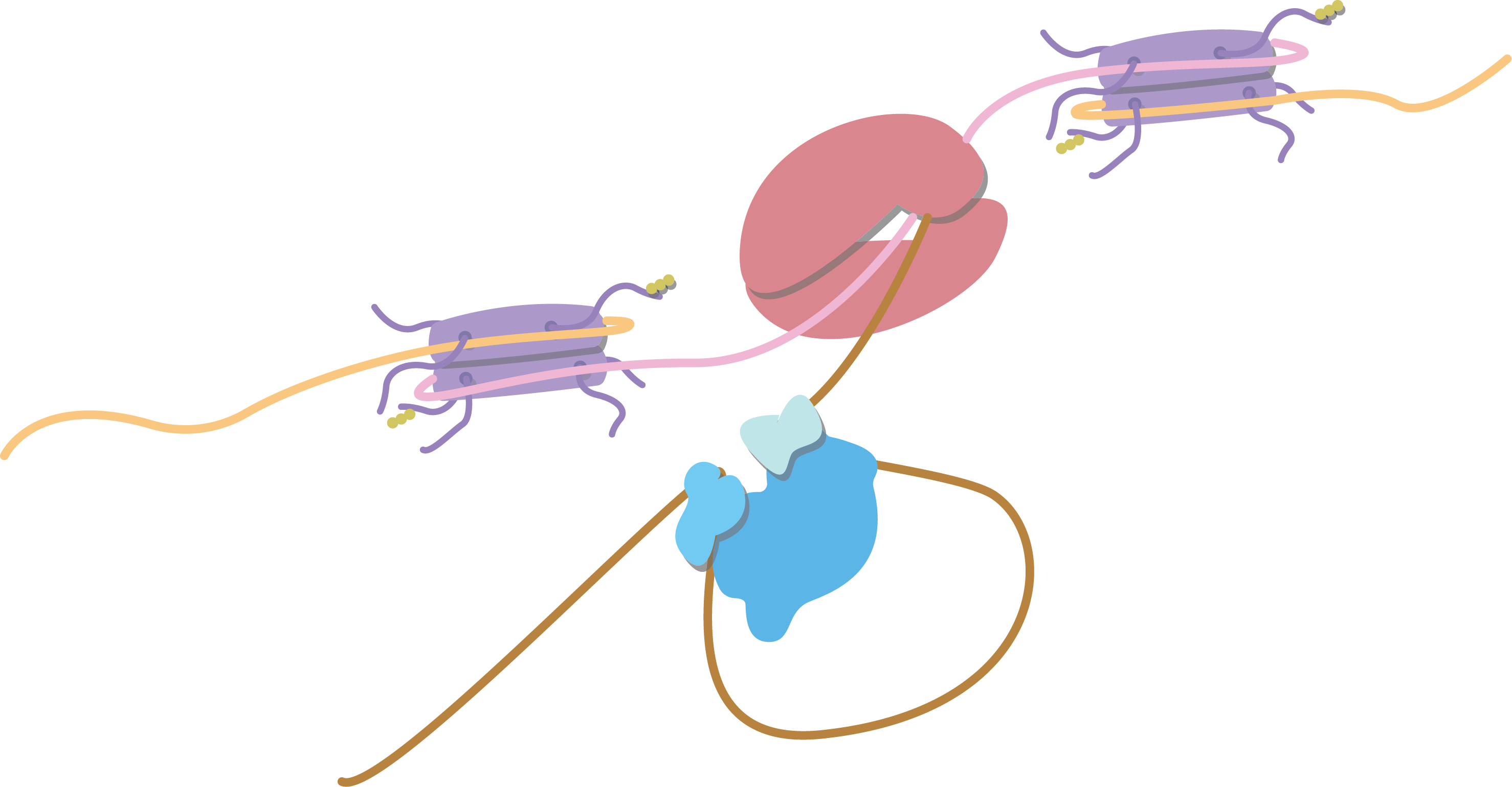 Splicing